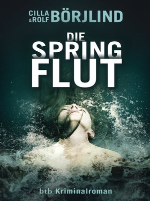 cover image of Die Springflut